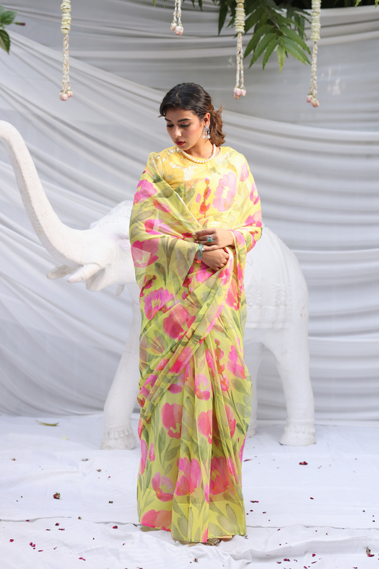 Gomti Printed French Chiffon Saree