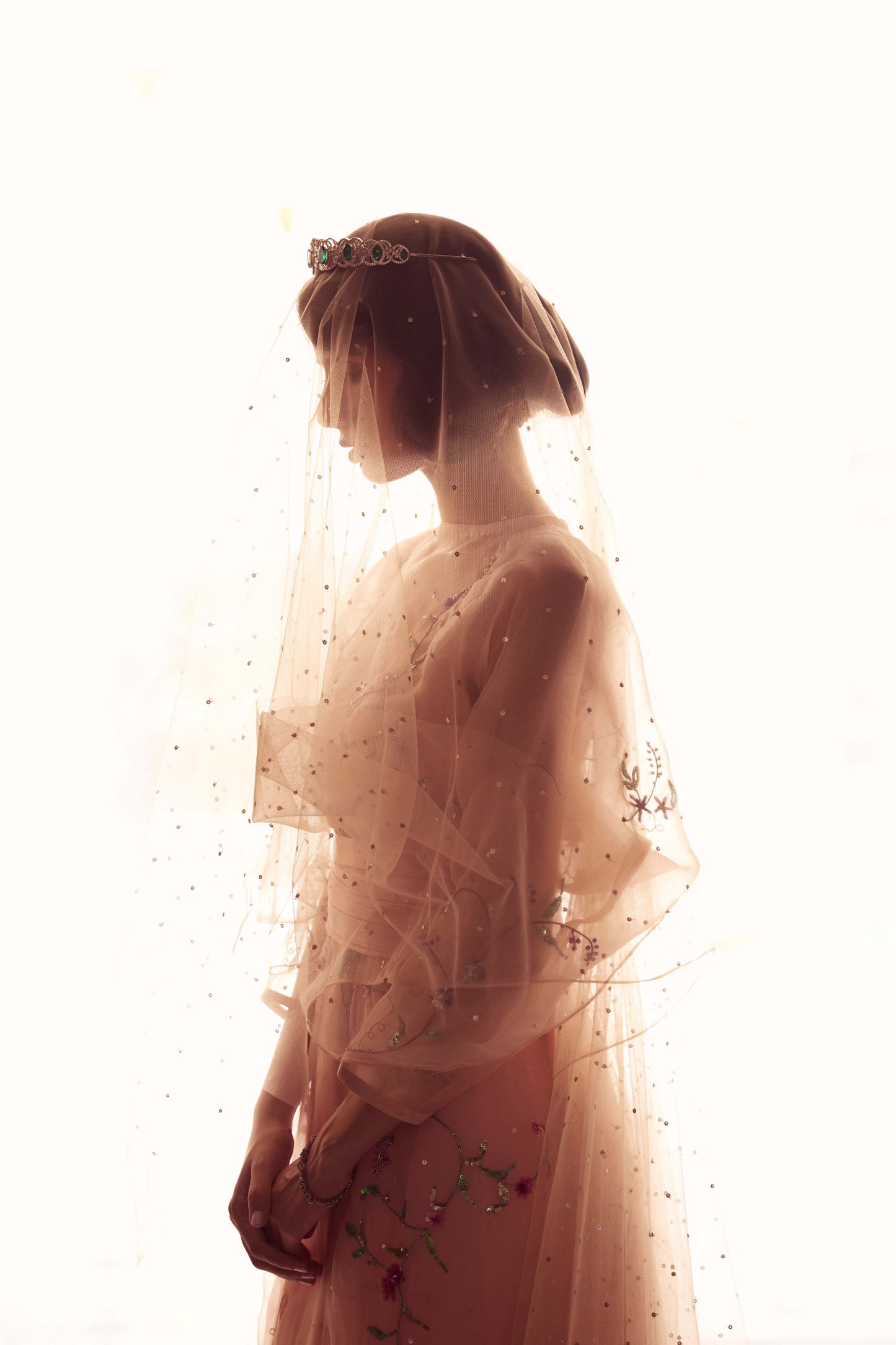 Blush Pink Venus Gown