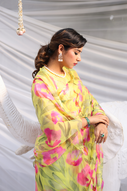 Gomti Printed French Chiffon Saree