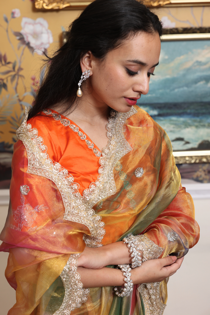 Prakarti rangkaat tissue saree