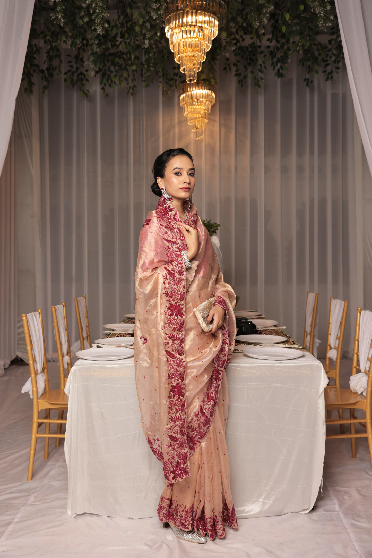 Mriganka Silk tissue saree