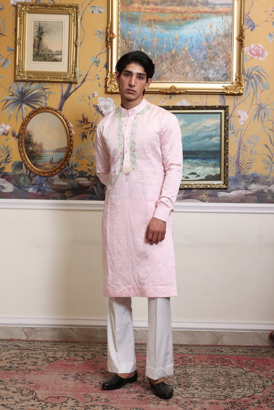 Aakash Pink Embroidered kurta