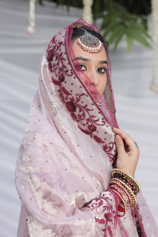 Roshanara Lehenga Set