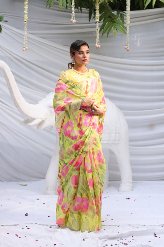Gomti Printed French Chiffon Saree