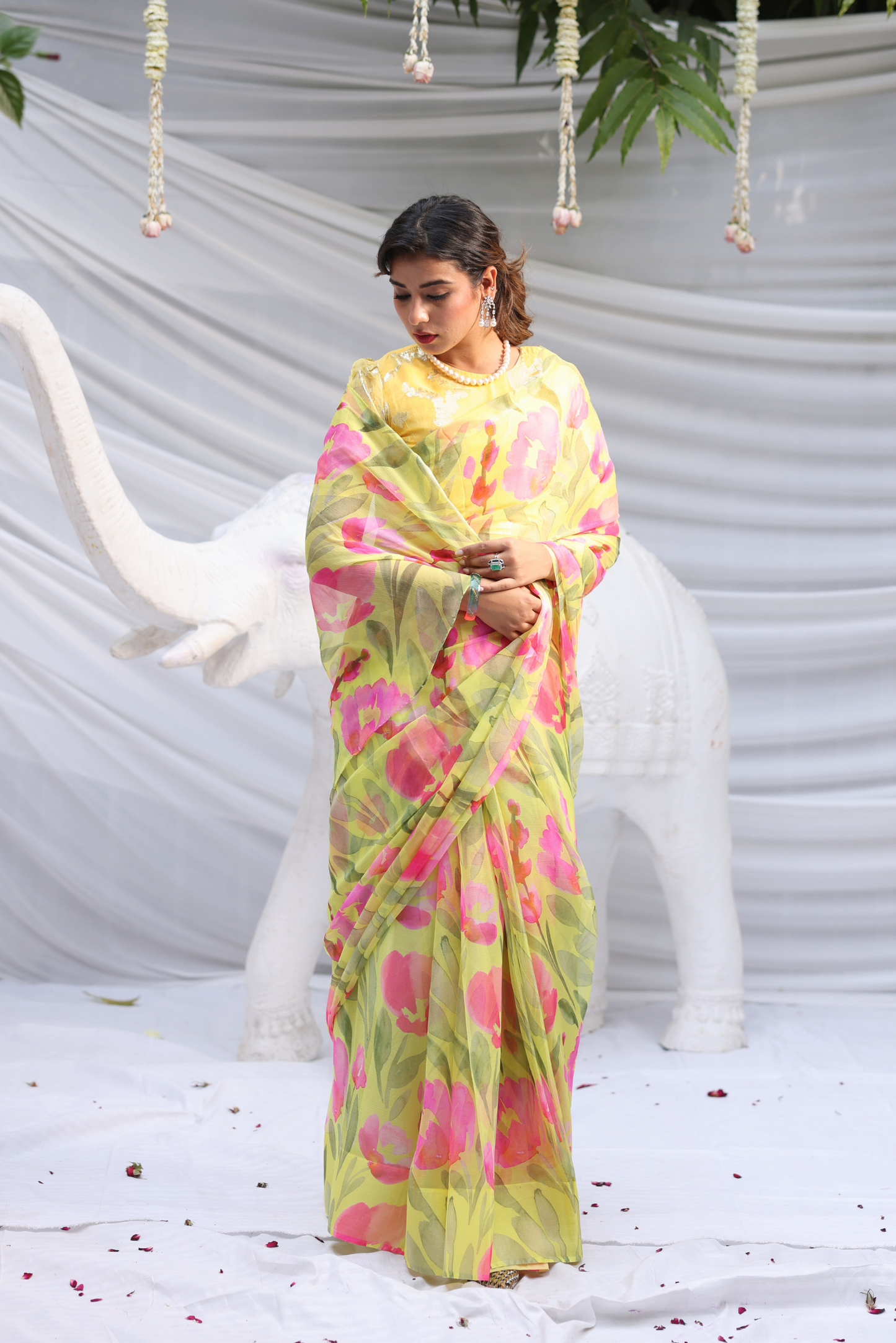 Gomti Printed French Chiffon Saree