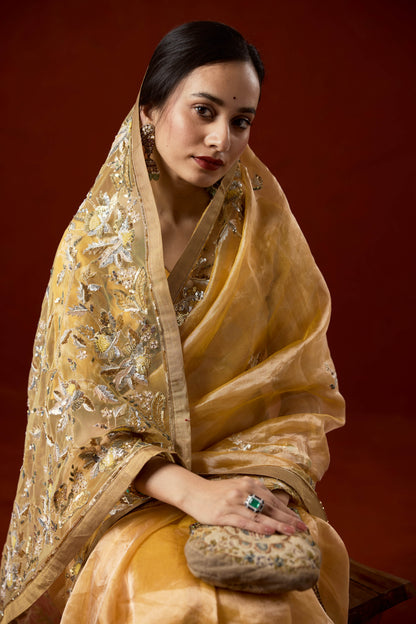 Romy tissue saree