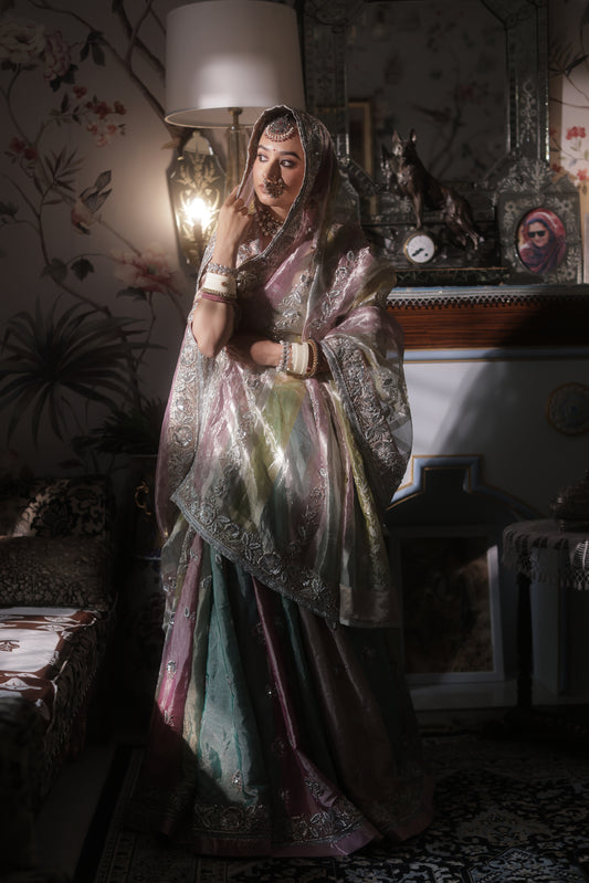 Chitralekha Lehenga Set