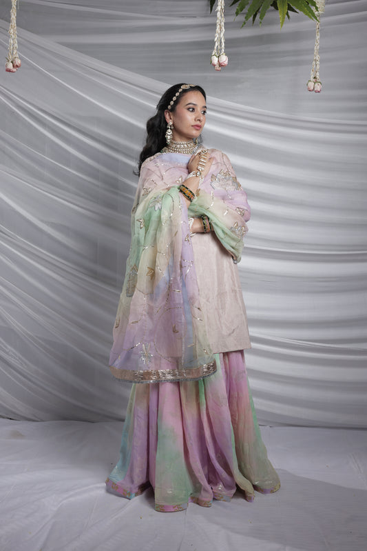 Roohani Tissue Garara Set