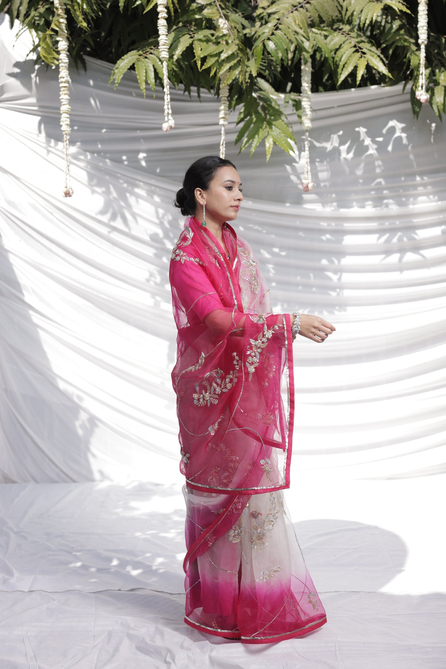 Faguniya Organza Saree