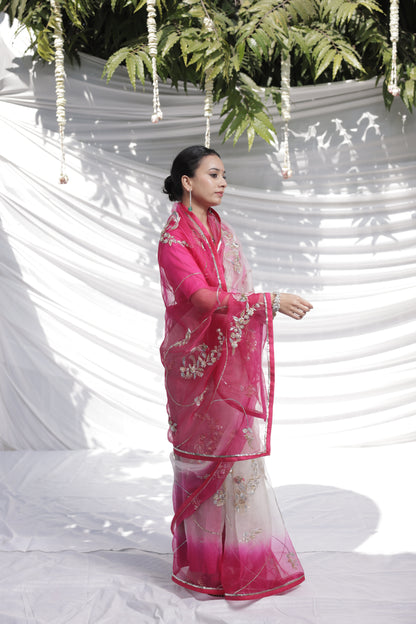 Faguniya Organza Saree