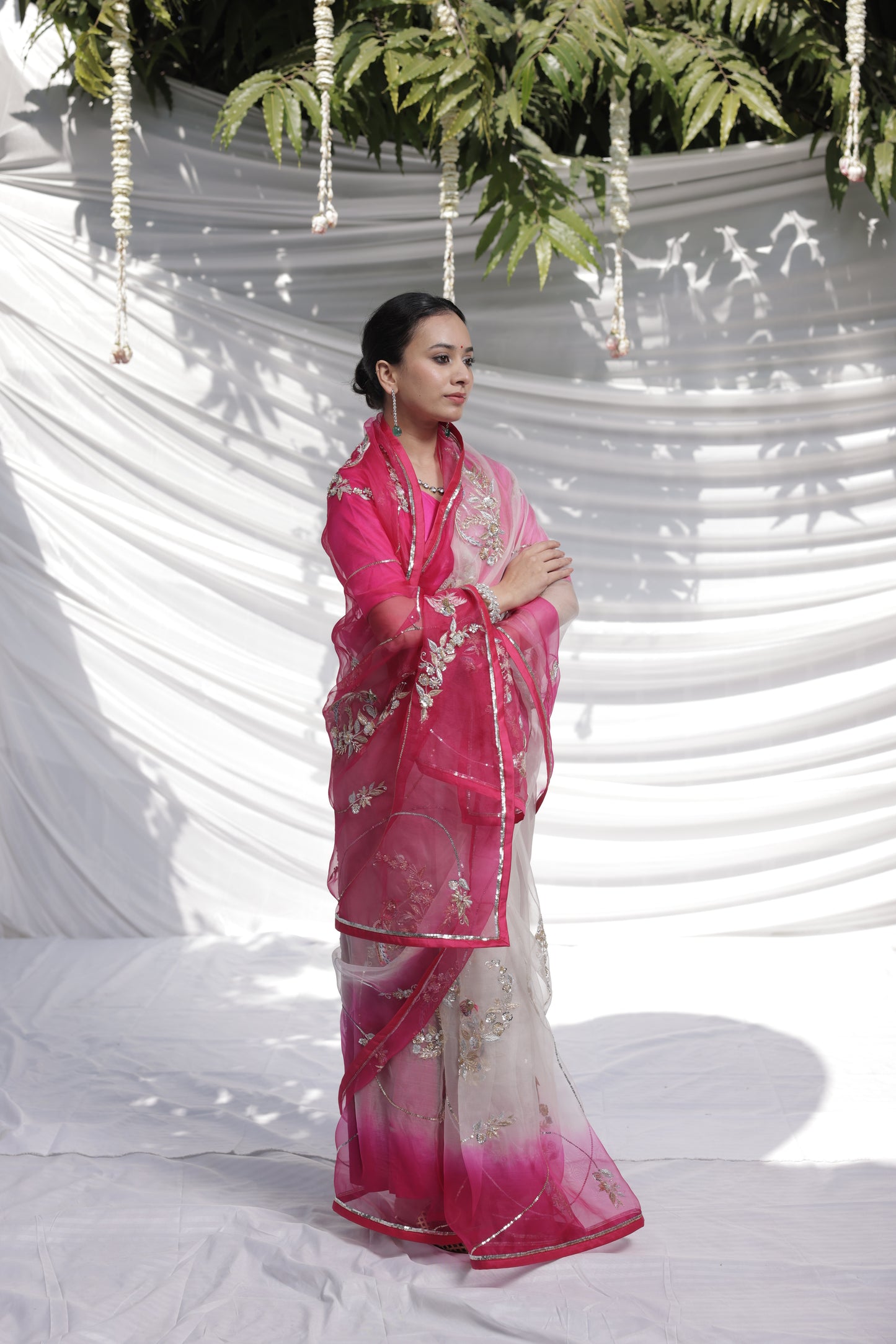 Faguniya Organza Saree