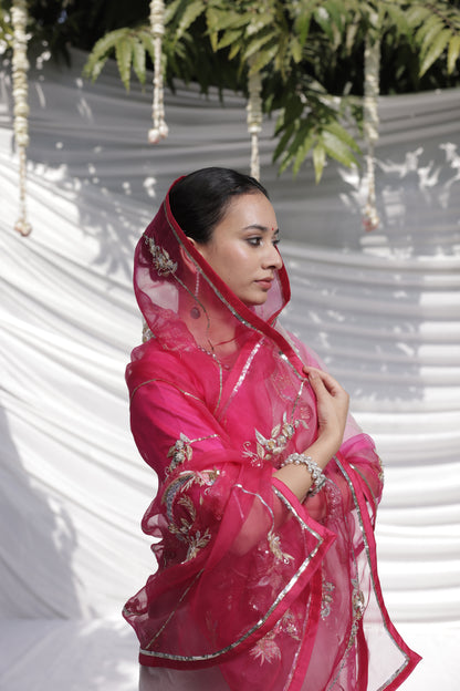 Faguniya Organza Saree