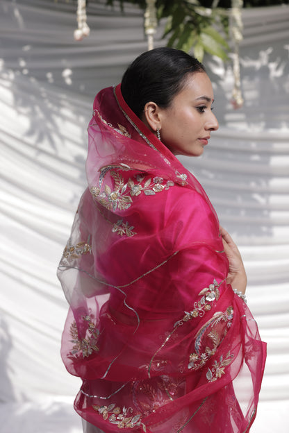 Faguniya Organza Saree