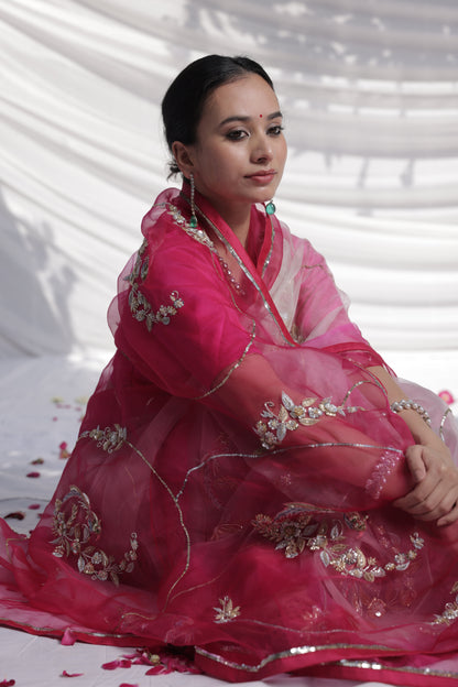 Faguniya Organza Saree