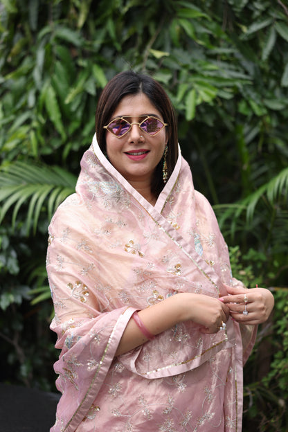 Cadance Tissue Saree