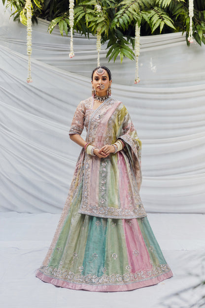 Chitralekha Lehenga Set