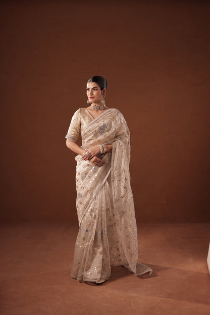 Chitra - Diwali tissue Saree