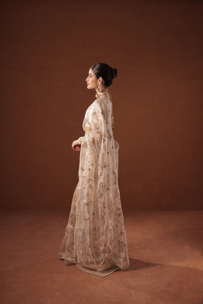 Chitra - Diwali tissue Saree