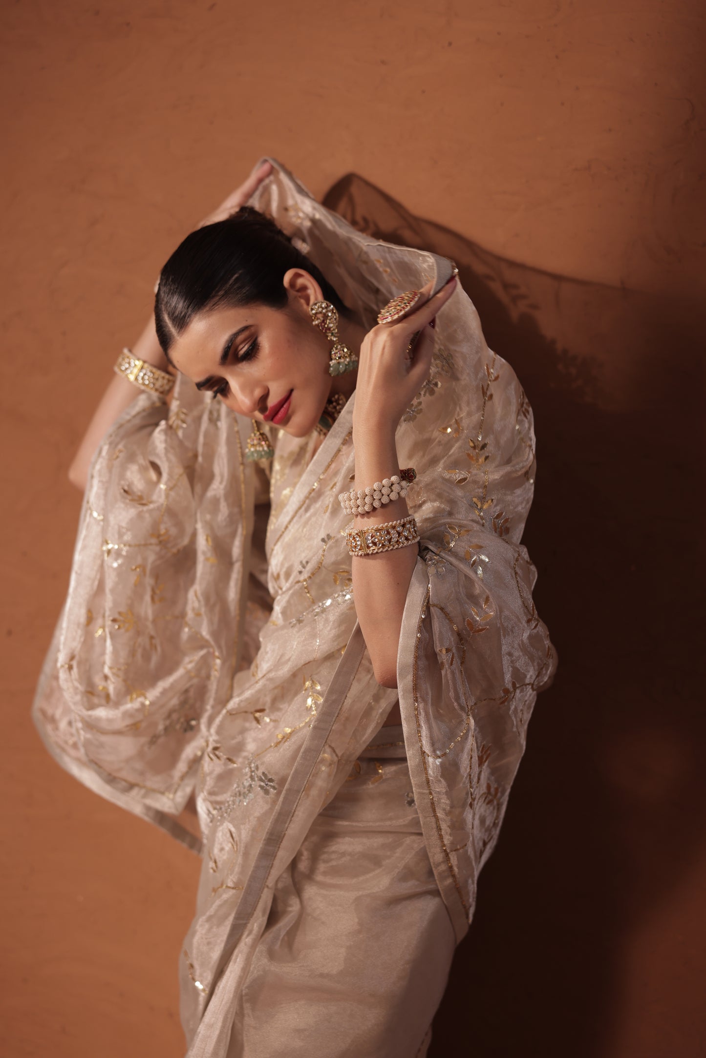 Chitra - Diwali tissue Saree